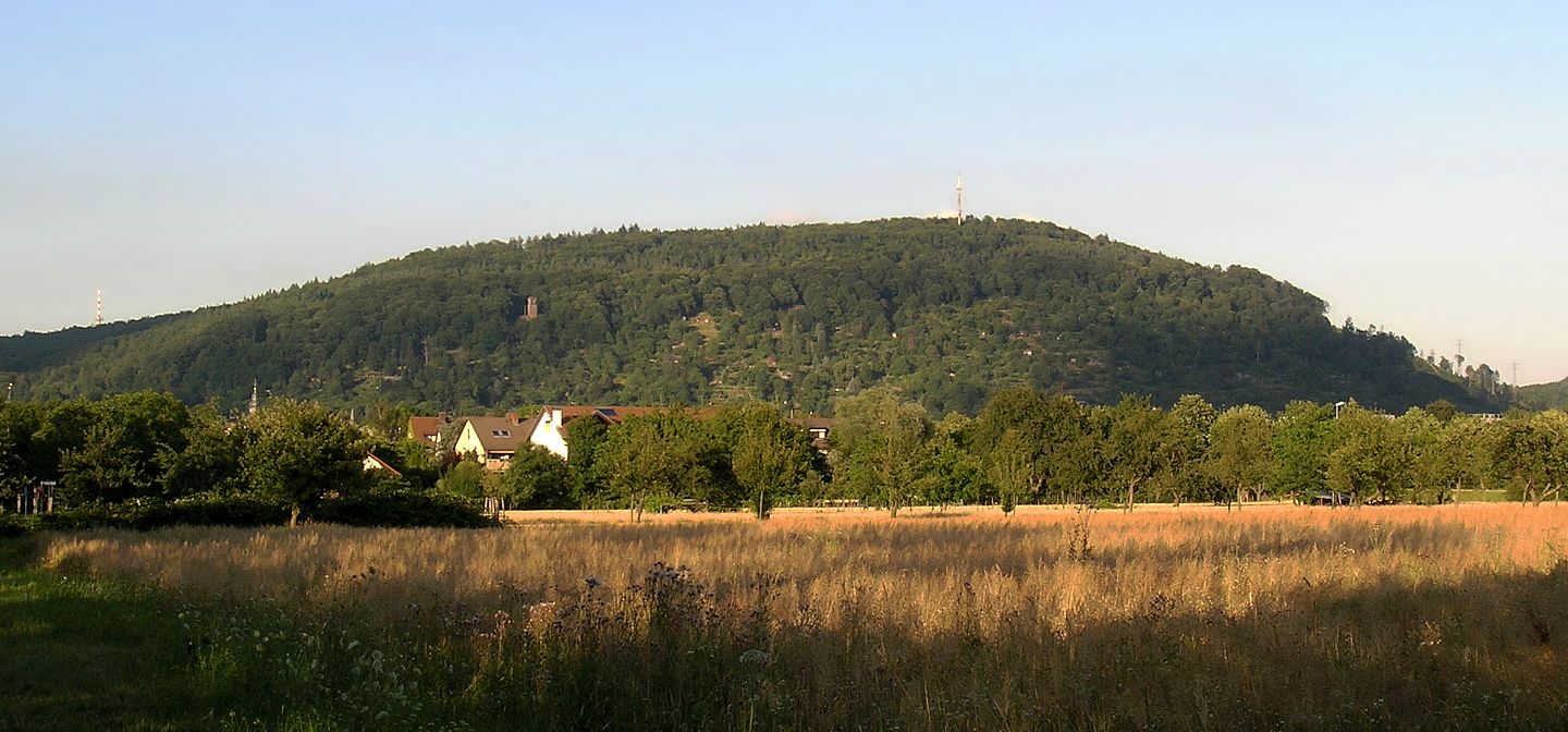 Blick auf den Berg Wattkopf