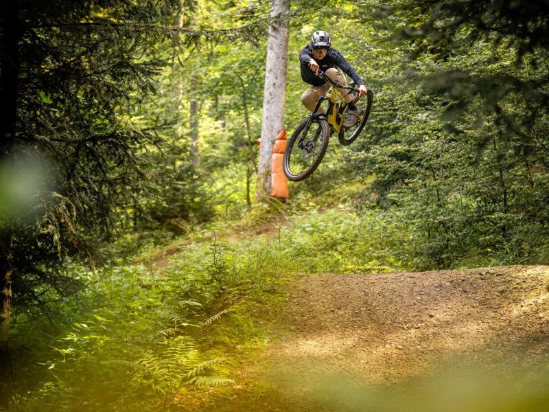 Baden to the Bone-Downhill