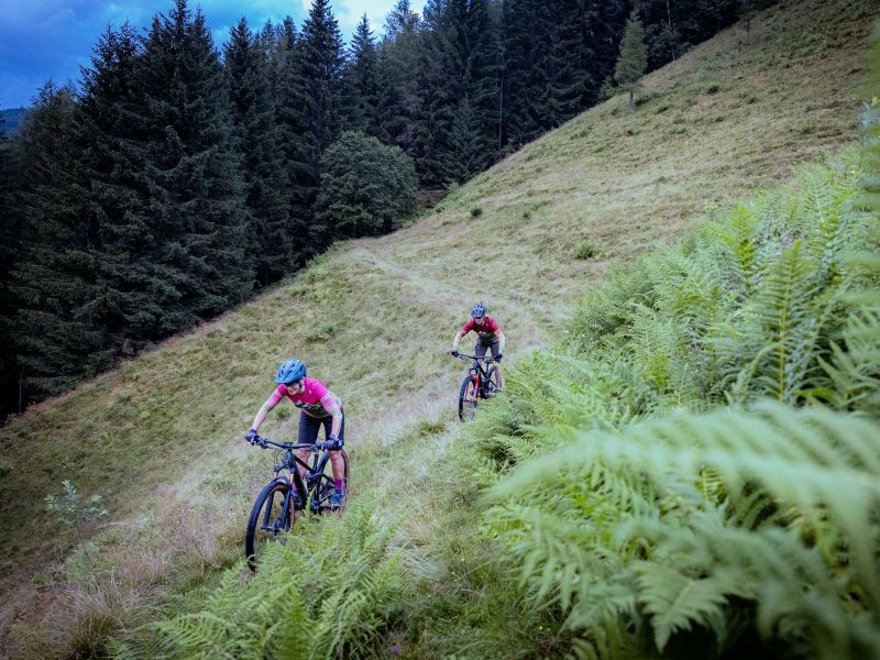 Mountaibikers auf der Strecke von die Viehhofener Runde